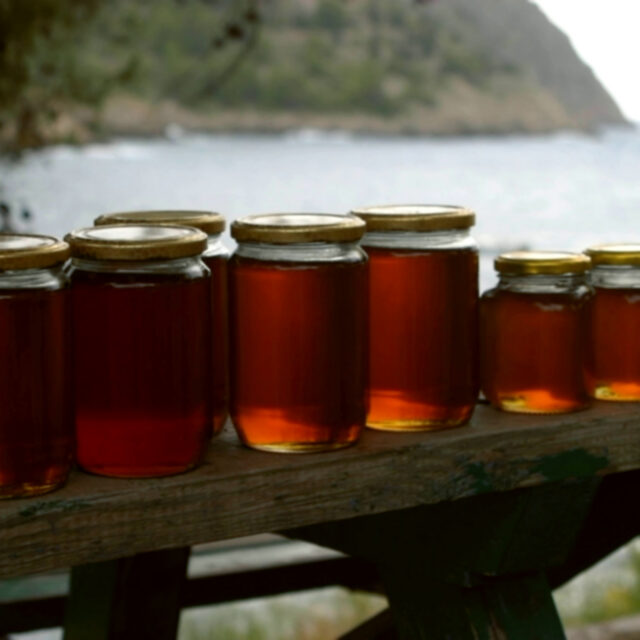 عسل گون گز ممتاز — تکگل، خالص و بدون افزودنی — شهد سبلان